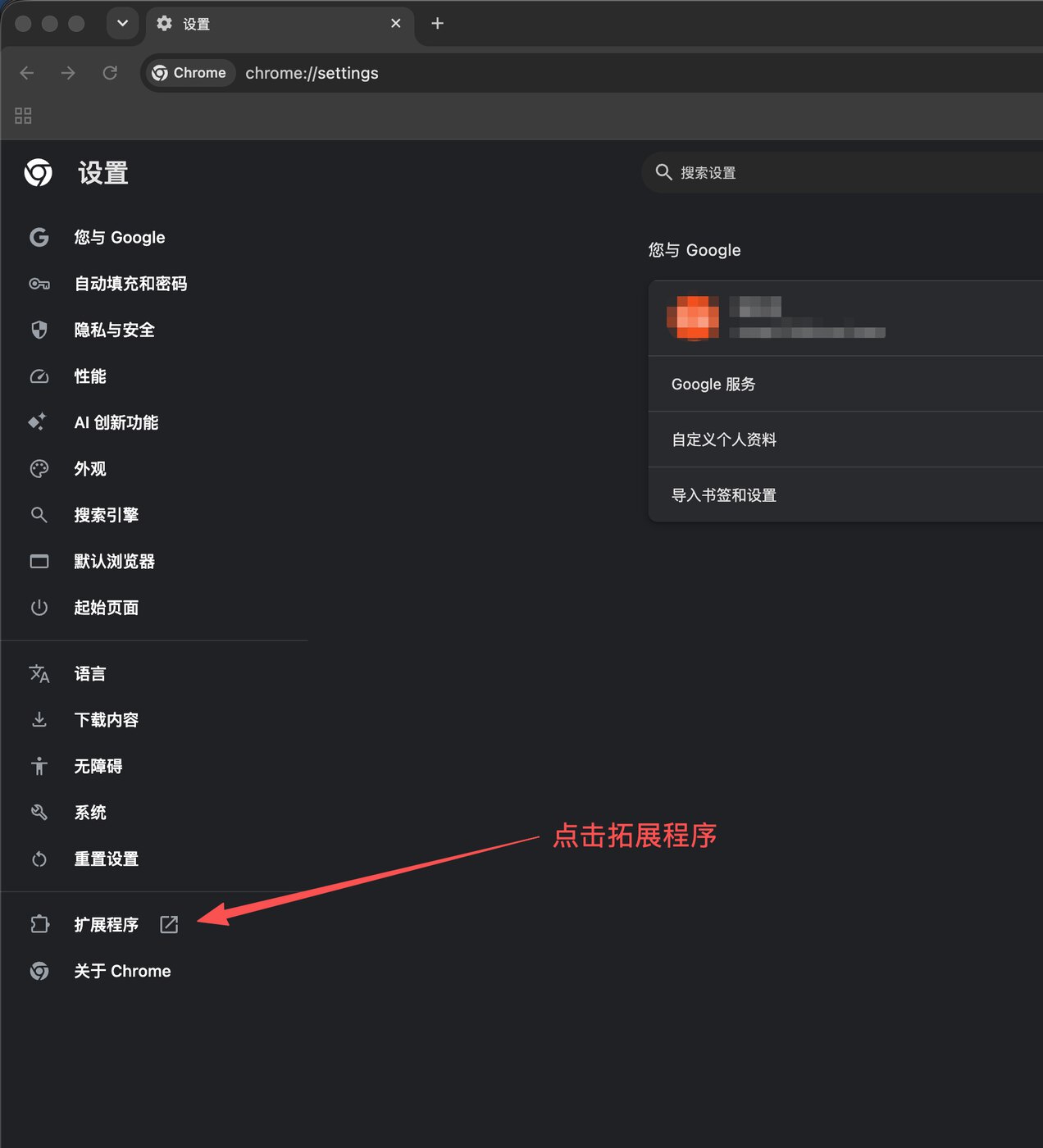 Chrome 设置页面左侧扩展程序入口的真实截图